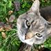 Diane Plourde - Facebook