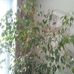 Diane Plourde - Facebook