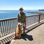 Diane Elkins Pohl - @dianepohl - Instagram
