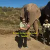 dianepohl8 - @dianepohl8 - TikTok