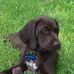 Diane Pointer - Facebook