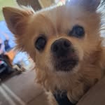 Donna Diane Pollock Stanton - @dpollock1234 - Instagram