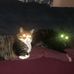 Diane Pomeroy-Linsley - Facebook