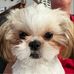 Diane Poole - Facebook