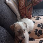 Diane Pooley - @dianepooley426 - Instagram