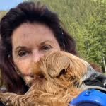 @dianepoole2020 - Instagram