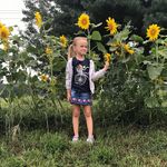 Diane Leazenby-Posey - @poseydiane - Instagram