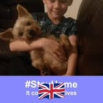 Diane Postlethwaite - @dianepostletwaite - Instagram