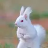 Diane Prévost - @diane.prvost - TikTok