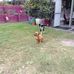 Diane Pringle - Facebook