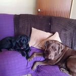 Diane Prior - @diane.prior.54 - Instagram