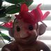 Dianne Probert - Facebook
