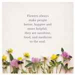 Diane Burroughs Proffitt - @nonnas_nature_nook - Instagram