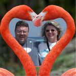 Diane Biehl Pryor - @dianegpryor - Instagram