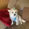 Diane Pryor - @diane.pryor - TikTok