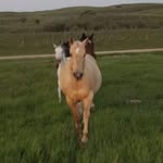 Diane Pryor - @diane.pryor.758 - Instagram