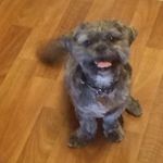 Diane Pryor - @diane.pryor.777 - Instagram