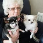 Diane Pullin - @diane.pullin.52 - Instagram