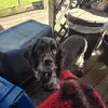 Diane purcell - @diane.purcell - TikTok