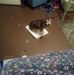 Diane Pyeatt - Facebook