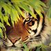 Diane Raab - Facebook