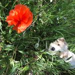 Diane Rapp - @diane.rapp - Instagram