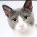 Diane Rapp - Facebook