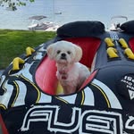 Diane Reitz - @dianereitz1952 - Instagram