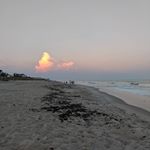 Diane Reitz - @reitzdiane - Instagram