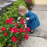 Diane Rickards - @diane.rickards.7 - Instagram