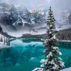 dianerickmandavis - @dianerickmandavis - TikTok