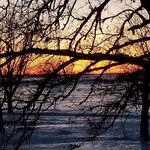 Diane Ricker - @rockingr4938 - Instagram
