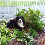 Diane Ricker - @diane.ricker.5243 - Instagram