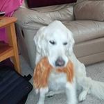 Diane Rickerman - @dianerickerman - Instagram