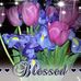 Diane Rickert - Facebook