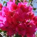 Diane Rickman - Facebook