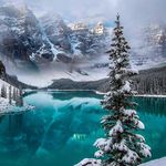 Diane Rickman-Davis - @rickman333 - Instagram