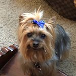Diane Smith - @dianerickmansmith - Instagram