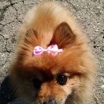 Kimberly Diane Jordan - @diane.riddle.14 - Instagram