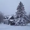 Diane Riel - @diane.riel - TikTok