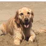 Diane Bradsher Rinehard - @dianerinehard - Instagram