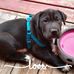 Diane Rine - Facebook