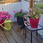 Diane Rioux - Facebook