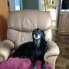 dianerioux628 - @dianerioux628 - TikTok