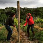 Diane Ritz - @dianeritz2 - Instagram