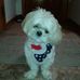 Diane Ritzert - Facebook