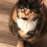 Diane Rivard - @rivard754427 - Instagram