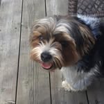 Diane Rivard - @rivard4832 - Instagram