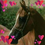 Diane Roach - @diane_claydon - Instagram