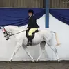 Diane Roach - @diane.roach1 - TikTok